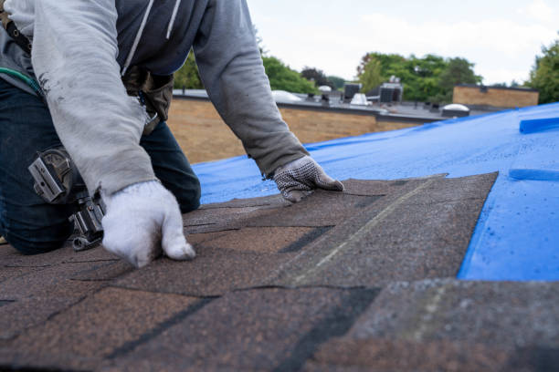 Quick and Trustworthy Emergency Roof Repair Services in Chattahoochee, FL